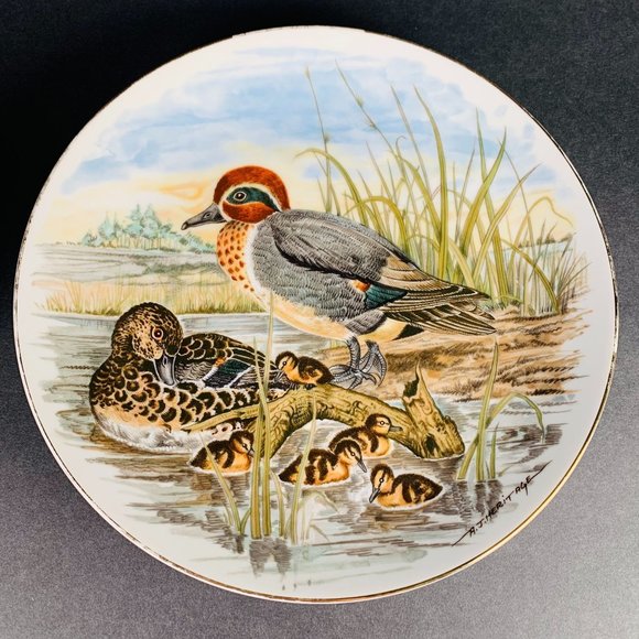 Southern Living Other Southern Living Game Birds Of The South Green